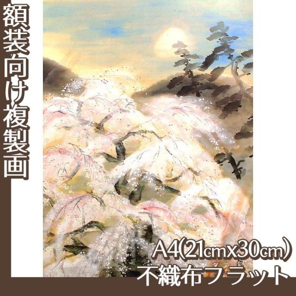 A4(z) yc S3 sDztbg100g