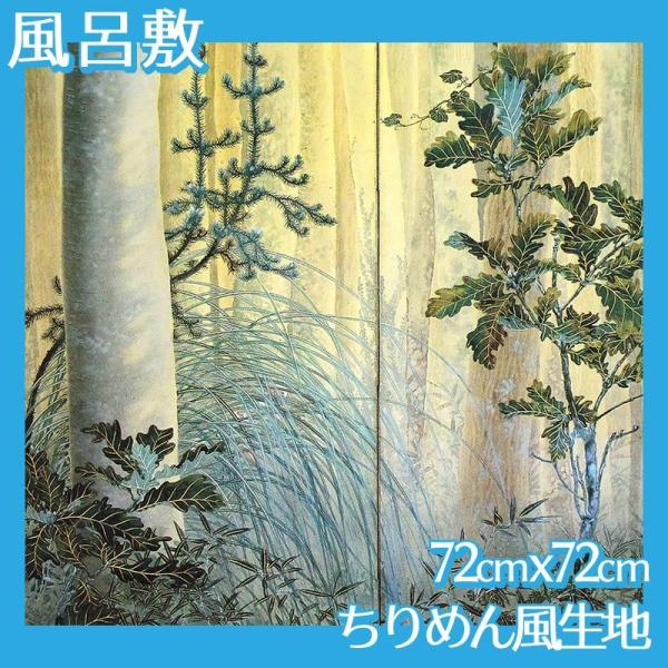 C~(:72cm72cm) ώR S3 ߂񕿐n