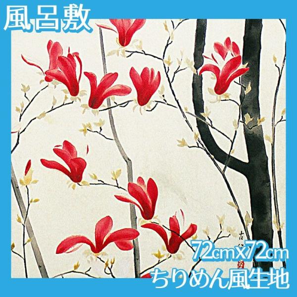 C~(:72cm72cm) ьÌa S1 ߂񕿐n