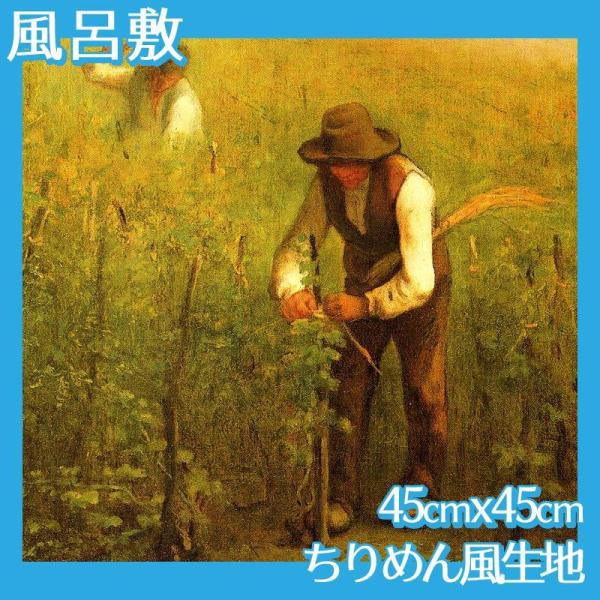 C~(:45cm45cm) ~[ S15 ߂񕿐n