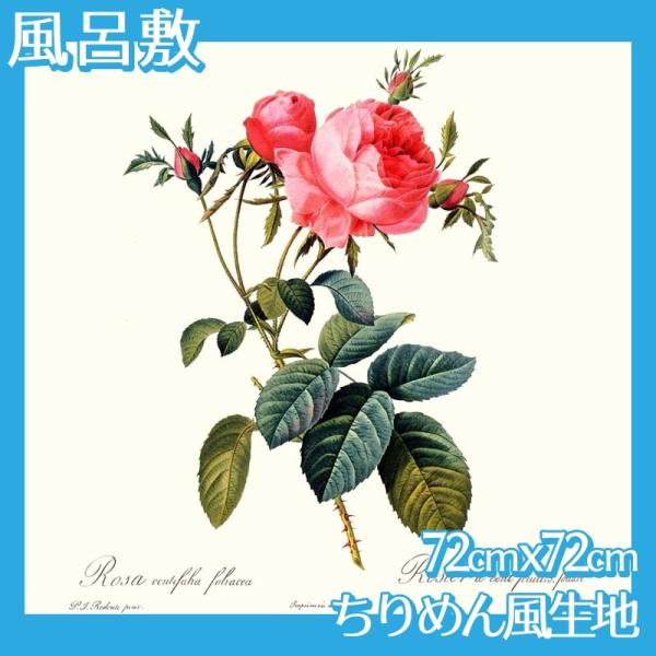 C~(:72cm72cm) hD[e S7 ߂񕿐n