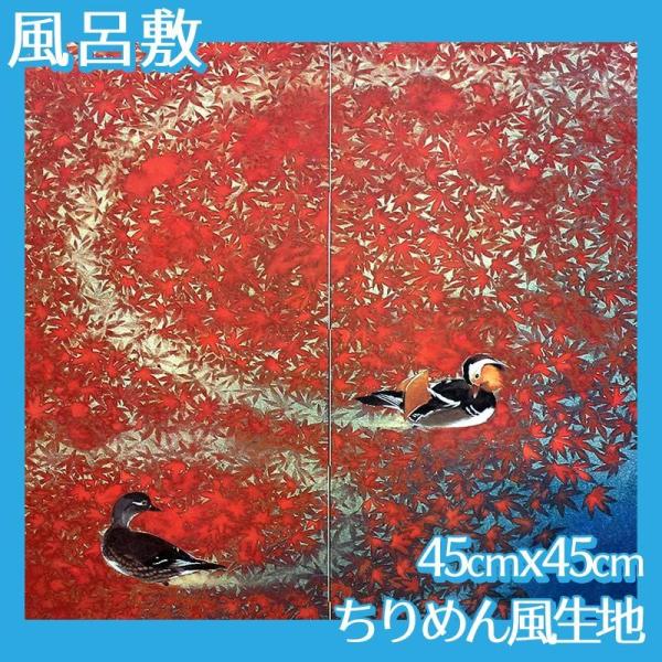 C~(:45cm45cm) [q S5 ߂񕿐n