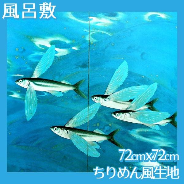 C~(:72cm72cm) [q S5 ߂񕿐n