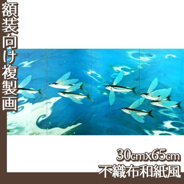 30cm×65cm(z) [q S4 sDza