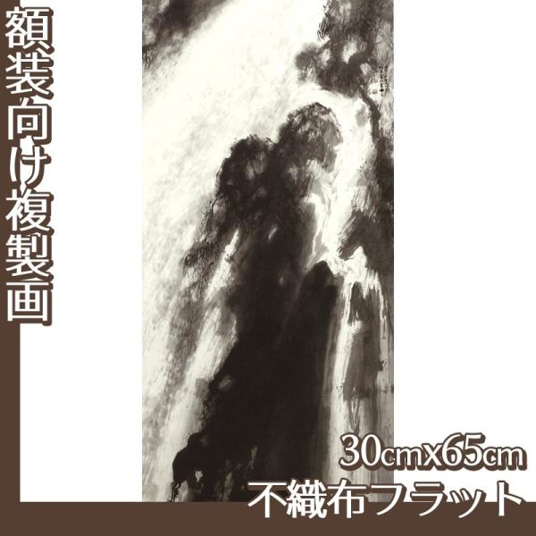 30cm×65cm(z) |P S1 sDztbg100g
