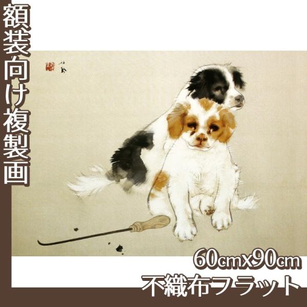 60cm×90cm(z) |P S1 sDztbg100g