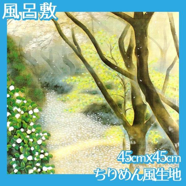 C~(:45cm45cm) Γc S1 ߂񕿐n