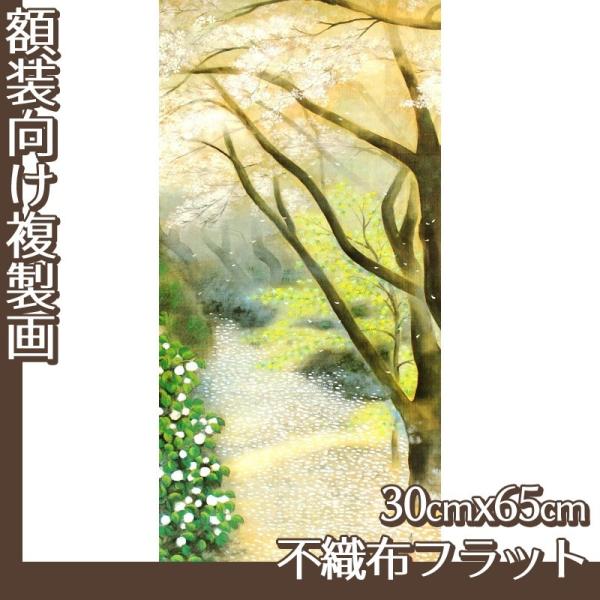 30cm×65cm(z) Γc S1 sDztbg100g