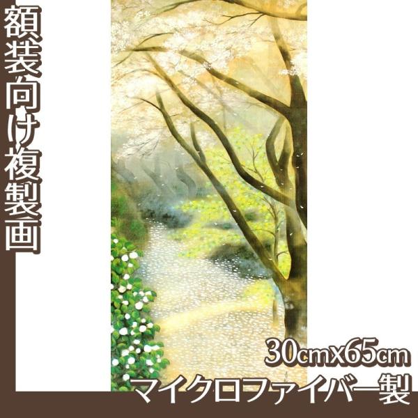 30cm×65cm(z) Γc S1 }CNt@Co[