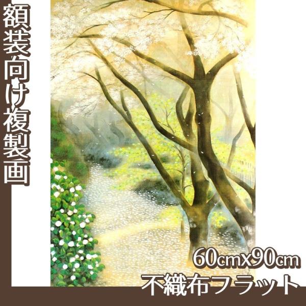 60cm×90cm(z) Γc S1 sDztbg100g