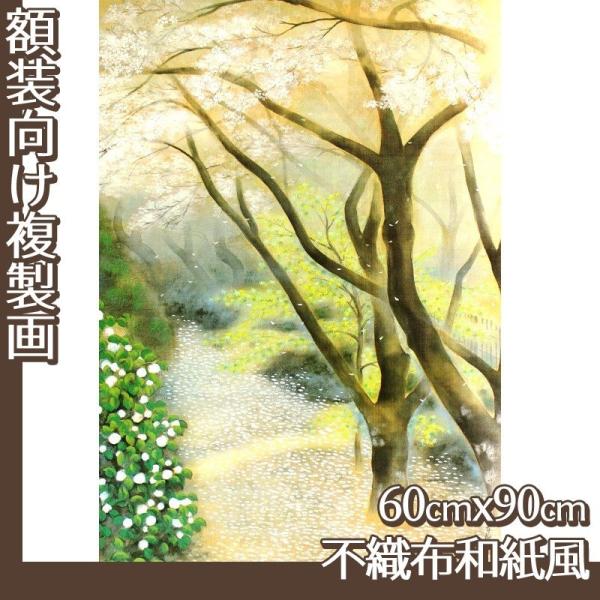 60cm×90cm(z) Γc S1 sDza