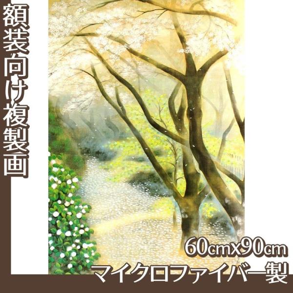 60cm×90cm(z) Γc S1 }CNt@Co[