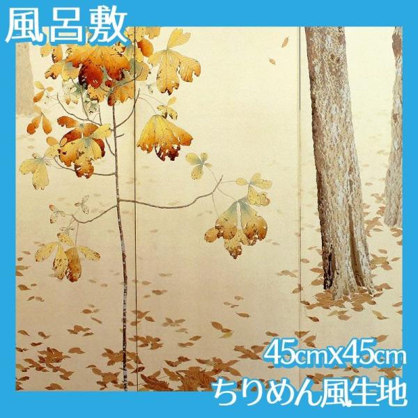 C~(:45cm45cm) Hct S4 ߂񕿐n