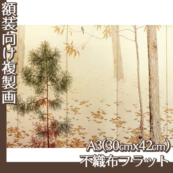 A3(z) Hct S4 sDztbg100g