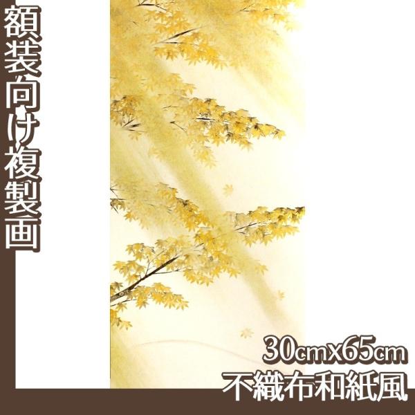 30cm×65cm(z) R(No.41~60) sDza