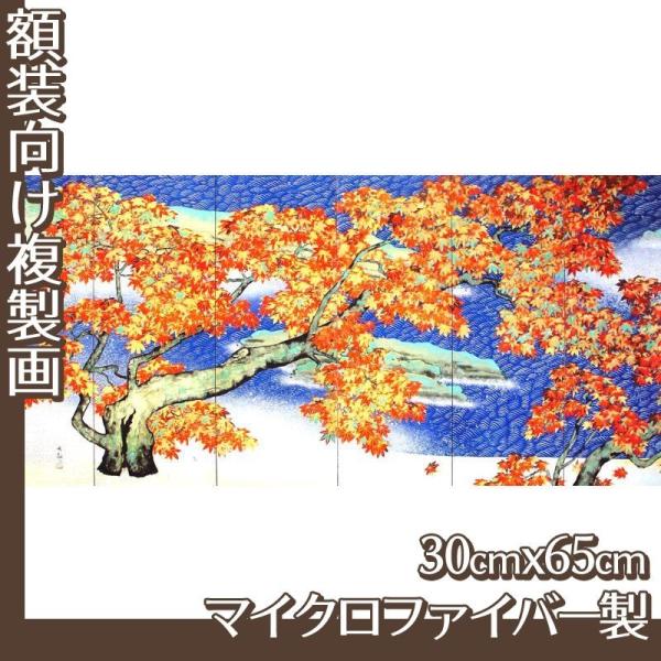 30cm×65cm(z) R(No.1~20) }CNt@Co[