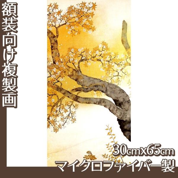 30cm×65cm(z) R(No.41~60) }CNt@Co[