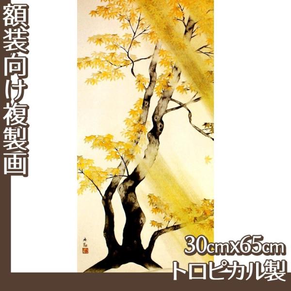 30cm×65cm(z) R(No.41~60) gsJ