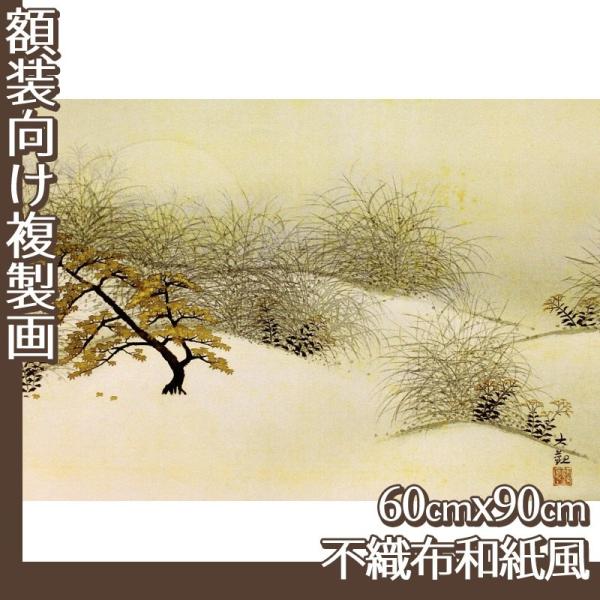 60cm×90cm(z) R(No.41~60) sDza