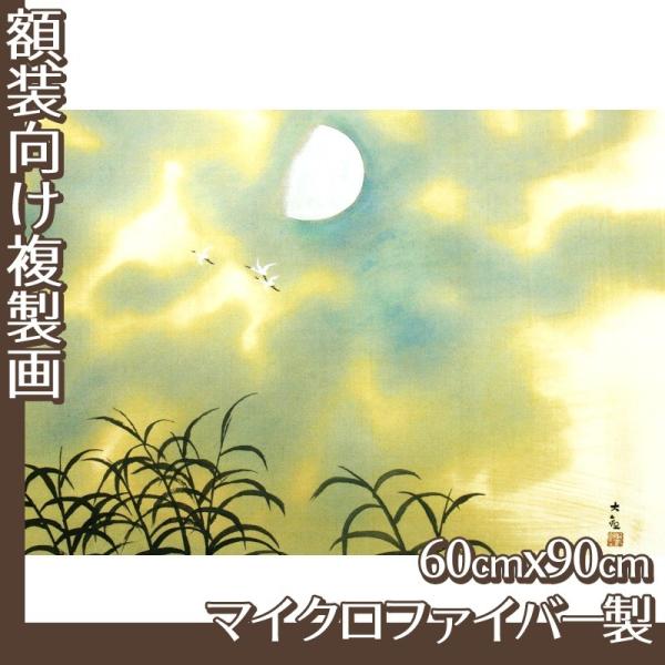 60cm×90cm(z) R(No.41~60) }CNt@Co[