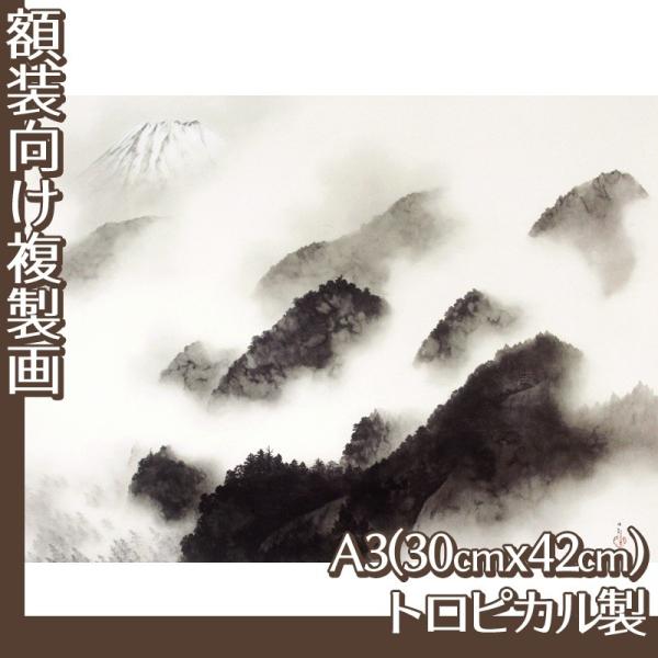 A3(z) R(No.21~40) gsJ