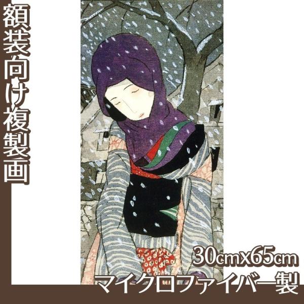30cm×65cm(z) |v (No.21~24) }CNt@Co[