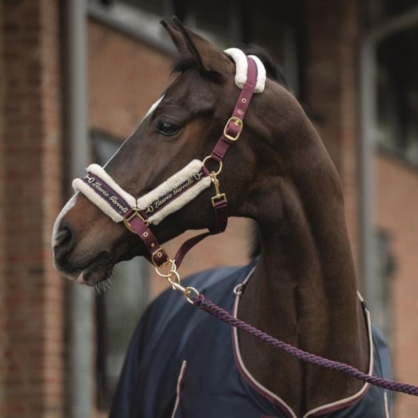 新しいブランド 乗馬用品 無口 agapeeurope.org