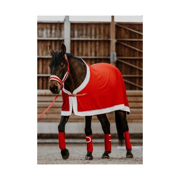 クリスマス　馬のコスプレ　馬着　-Xmas