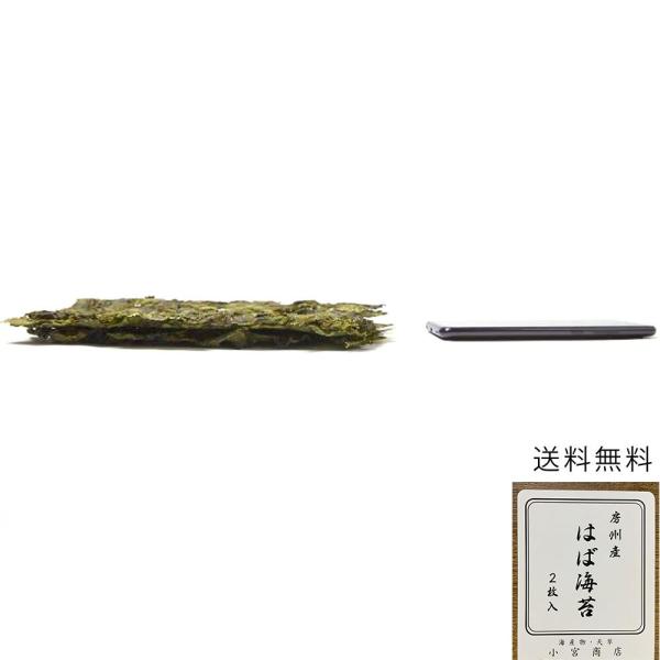 令和7年 天然 はばのり 2枚入り 天日干し 千葉県産 房州産 お雑煮