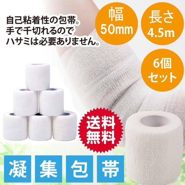  Lk S 50mm 4.5m 6Zbg  ȔS e[vsv T|[^[ AX`bNe[v