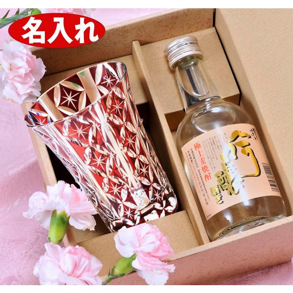 y݌Ɍz Mtg SXX ؎q  җ ސE a v[g Iׂ  @؎q CX^[ t[OX &amp; Y 300ml ĒZbg