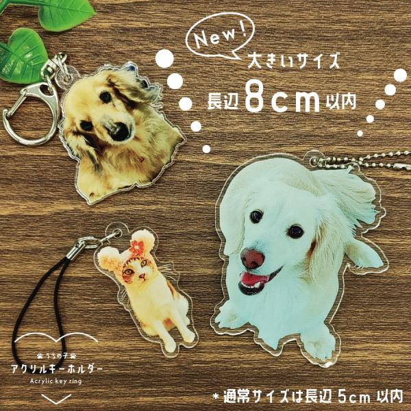 キーホルダー 写真入り 50mm 80mm ペット メモリアルグッズ オリジナル 犬 猫 ハムスター うさぎ うちの子 グッズ 子ども 孫 アクキー :ak-Keychain:オリジナルショップTB 通販 名入れ ペット写真 チャーム オリジナルグッズ いつもそばに ペット プレゼント ペット 写真 グッズ オリジナル キーホルダー メモリアル アクリル フォト チャーム ペット仏具 名入れ 愛猫 愛犬ネームプレート 首輪 迷子札 ストラップ 目印 お散歩 プレゼント