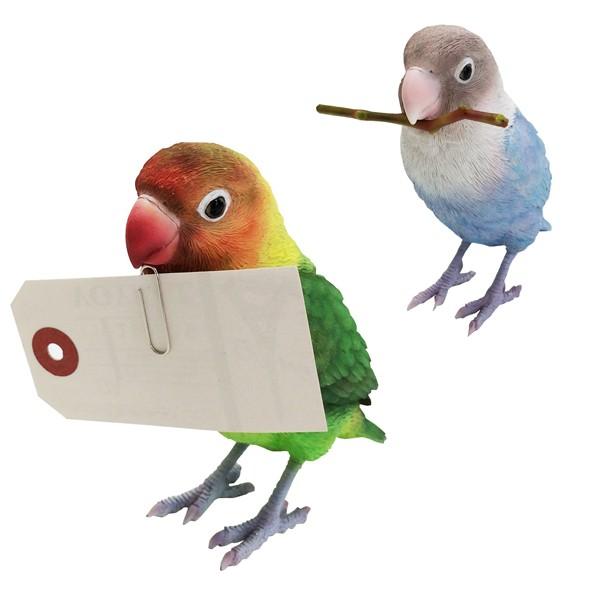 おしゃれでかわいいインテリアになるリアルなセキセインコ ギガランキングｊｐ
