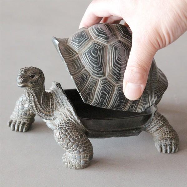 ペットトレイ カメ リクガメ アクセサリートレイ 鍵置き オブジェ インテリア Pet Tray Tortoise オリジ 通販 Yahoo ショッピング