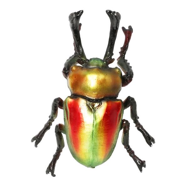 oriji_rainbow-beetle