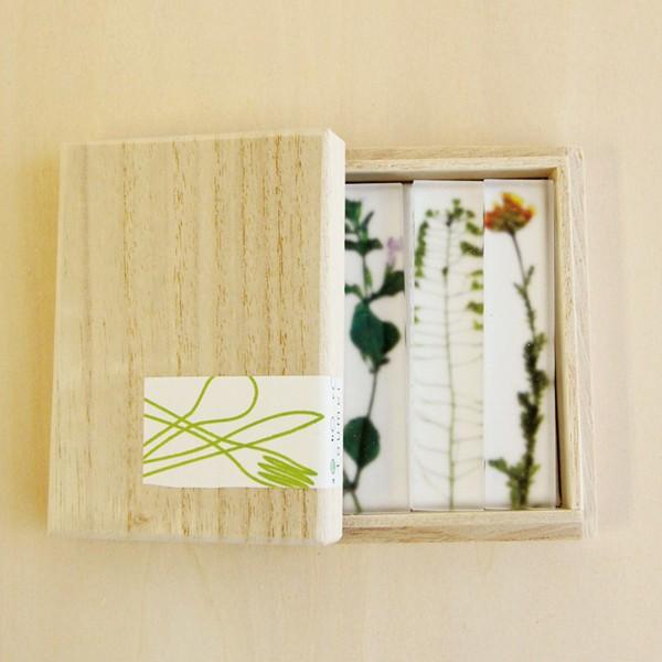 gEC  Jg[Xg 3Zbg ؔ AN̂ꔢu {