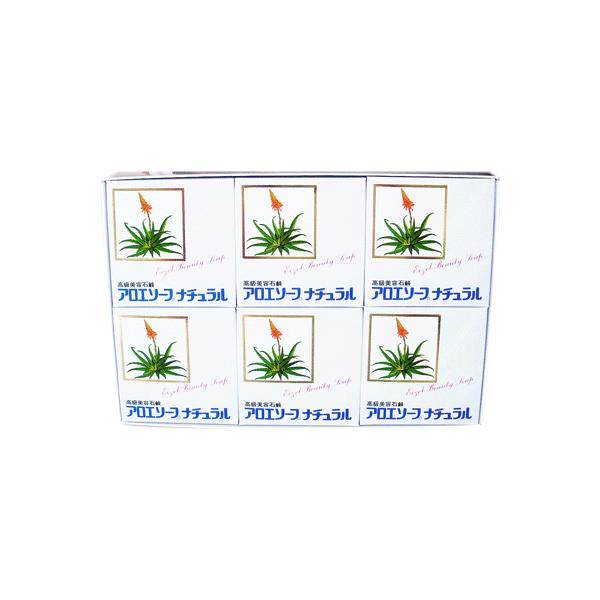 GC[ AG\[v@100gigj×6 /m6300