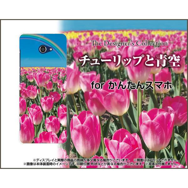 񂽂X}z2{ A201KC J^X}z n[hP[X/TPU\tgP[X tیtBt `[bvƐ i킢j  sNi҂񂭁j