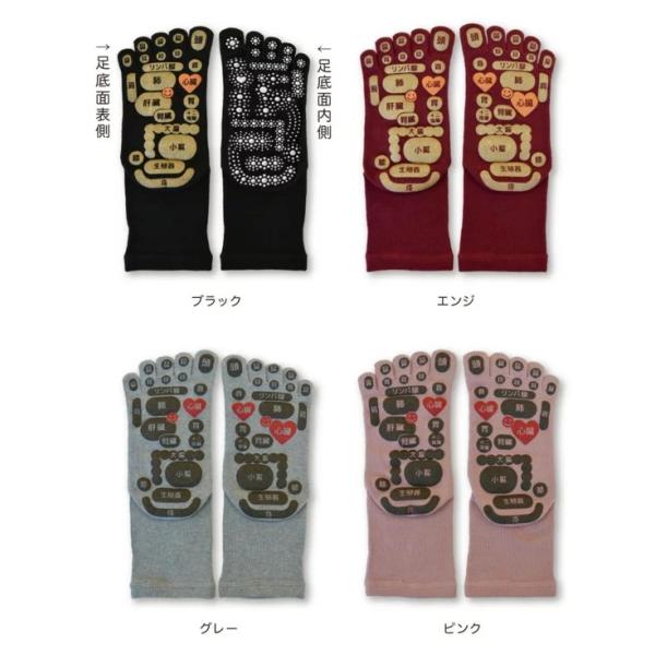 y{zTSUBOVsPLUS ʑ5{w\bNX 22-25cm GW ubN O[ sN  tbg  c{ NC N\bNX   