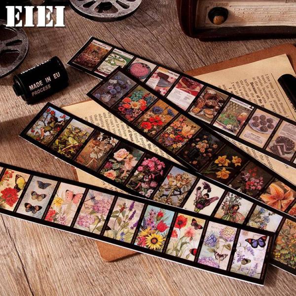 o b lK tB V[ XebJ[ V[V[g 30s[X PET R[W f 蒠 fR fR[V  CO V[ sztz-03-007