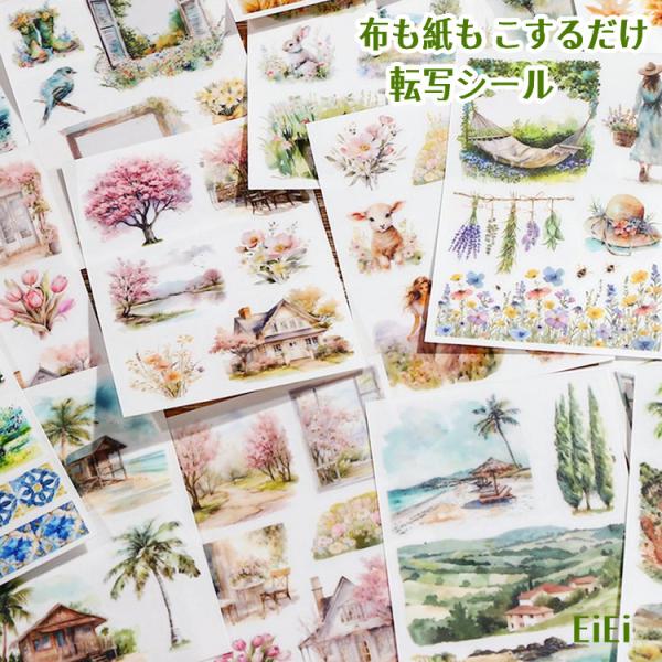 oroshi-ee_sztz-05-016