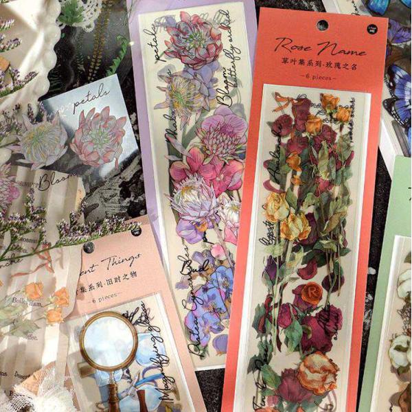 COXebJ[ NA PETf hCt[ WNW[i R[Wf 蒠 fR fR[V  V_ A {g  sztz-06-003