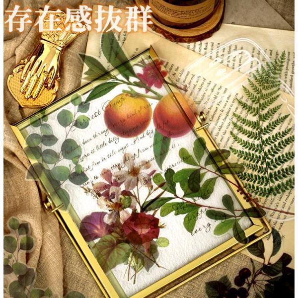 CO 傫 t[NV[ XebJ[ NA PETf A  t[ t ʎ t[c ؂̎ ̂ }bV[ mN sztz-11-002