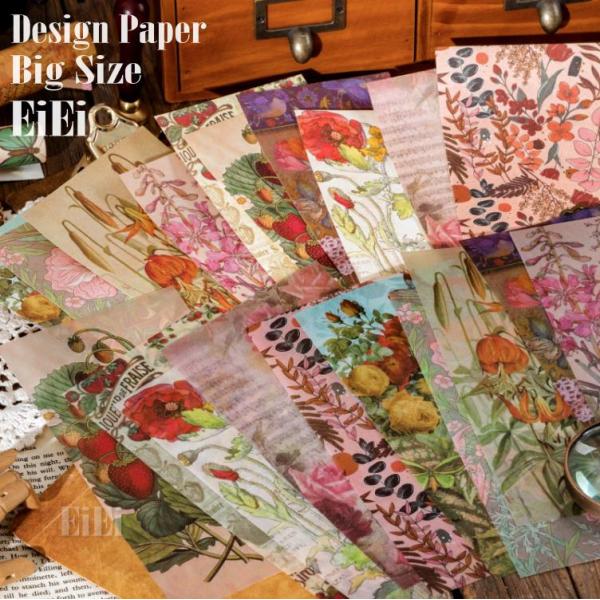 oroshi-ee_sztz-20-028