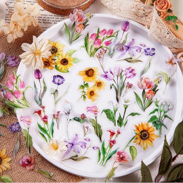 CO PET t[NV[ XebJ[ NA PETf A  t[ t ʎ t[c ؂̎ ̂ }bV[ mN sztz-30-016