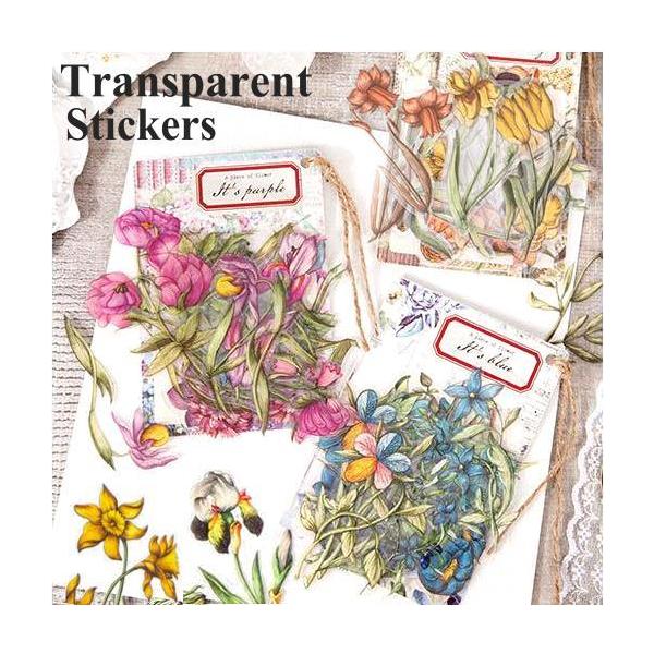 g H XebJ[ 傫 V[ 30 NA PET   蒠 fR R[W f O fR[V ϐ g   sztz-30-045