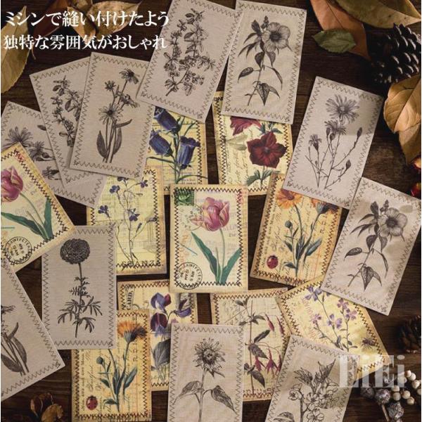 o Be[W XebJ[ 傫 O 蒠 fR fR[V R[W f  WNW[i }XLOe[vf  sztz-30-059