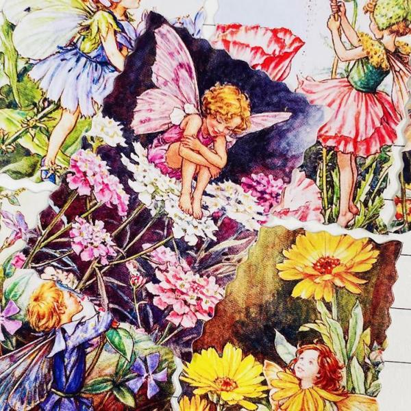 o COXebJ[ A  t[NV[46聟蒠fR R[Wf g WNW[i fR[V sztz-46-027