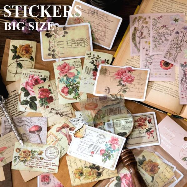    _ XebJ[ 傫  t[NV[  bZ[WJ[h  S[h F t[ R[W f 蒠fR  sztz-50-036