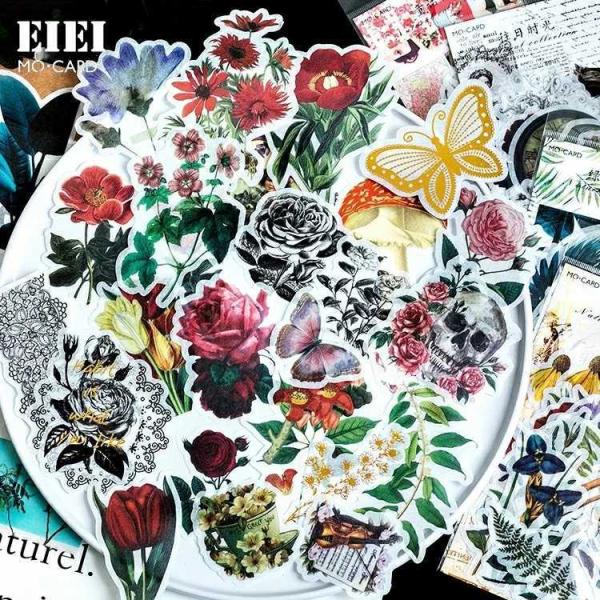 [  CO t[NV[ 傫 60   t A t[ R[W f Zbg COXebJ[ mg[ F 蒠 L DIY sztz-60-008